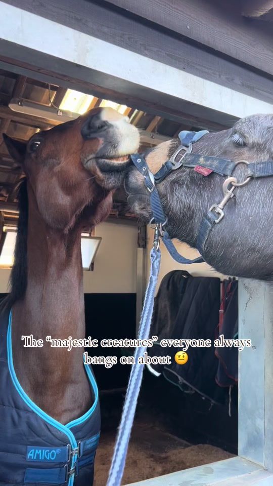 TikTok video thumbnail by libbywestlake.evt