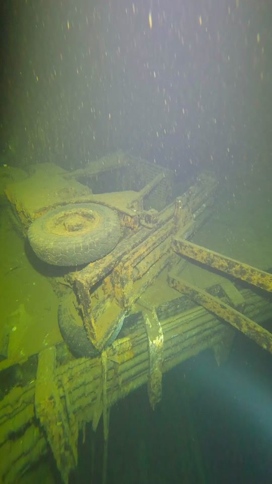 TikTok video thumbnail by pineapplediveclub