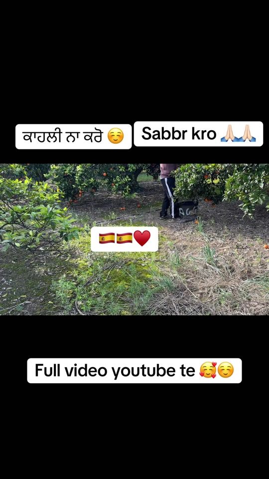 TikTok video thumbnail by singh.alicia56