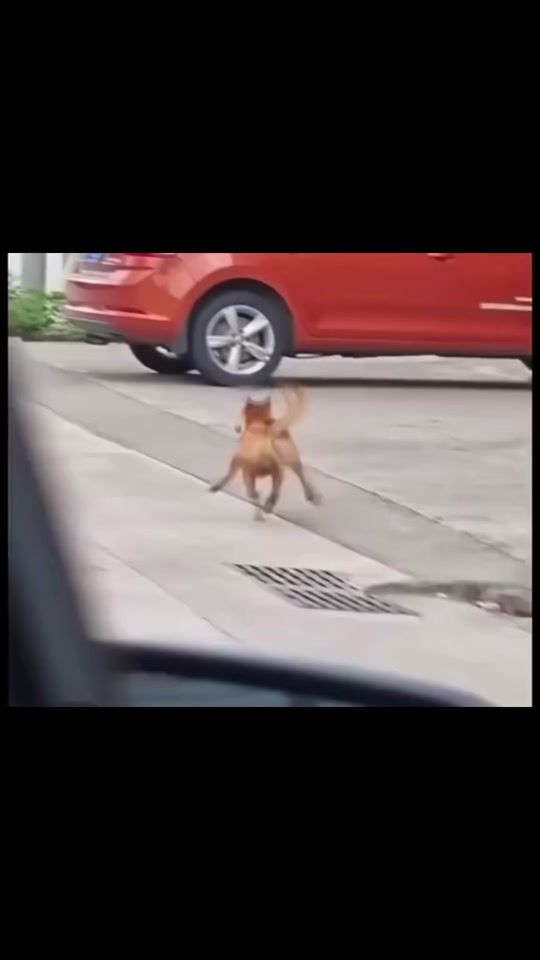 TikTok video thumbnail by bch.nh337
