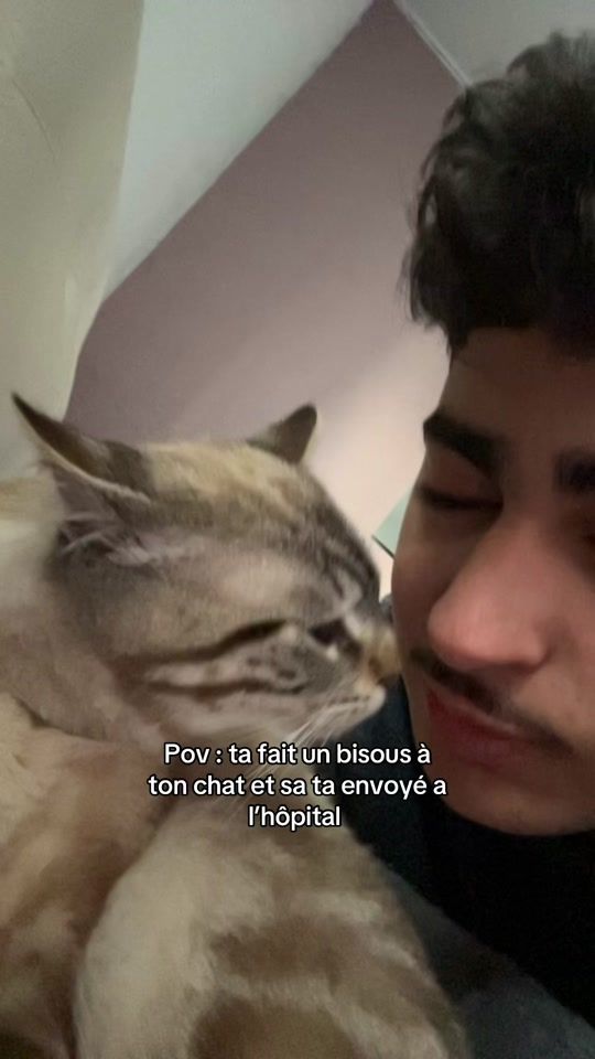 TikTok video thumbnail by ananas.spamm