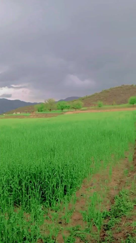 TikTok video thumbnail by hussain_kpk__73