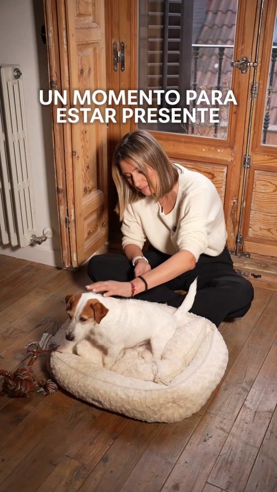 TikTok video thumbnail by sandrabarnedaoficial