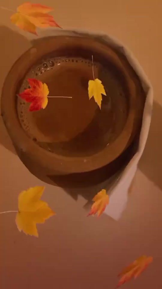 TikTok video thumbnail by minumughal7