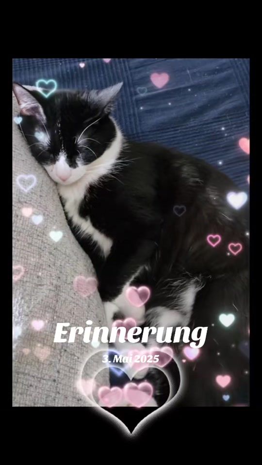 TikTok video thumbnail by leo_lusi1980