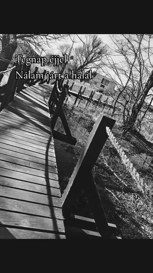 TikTok video thumbnail by danielaszebi