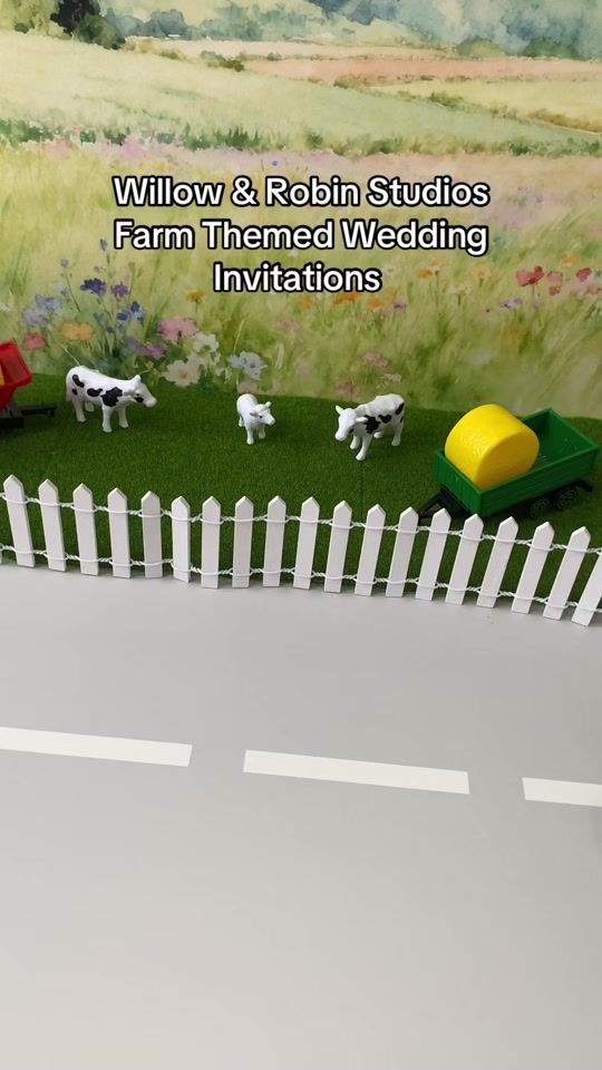TikTok video thumbnail by willowandrobinstudios