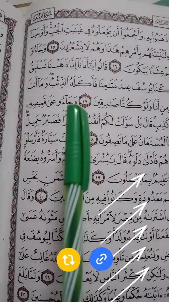 TikTok video thumbnail by mjsalafi1