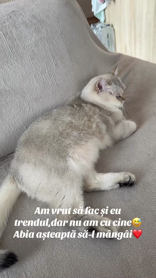 TikTok video thumbnail by andreeastp
