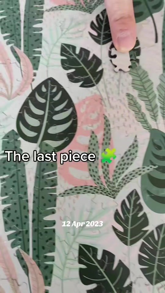 TikTok video thumbnail by puzzlecollect