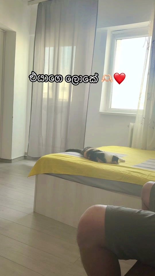 TikTok video thumbnail by anojanilanthi