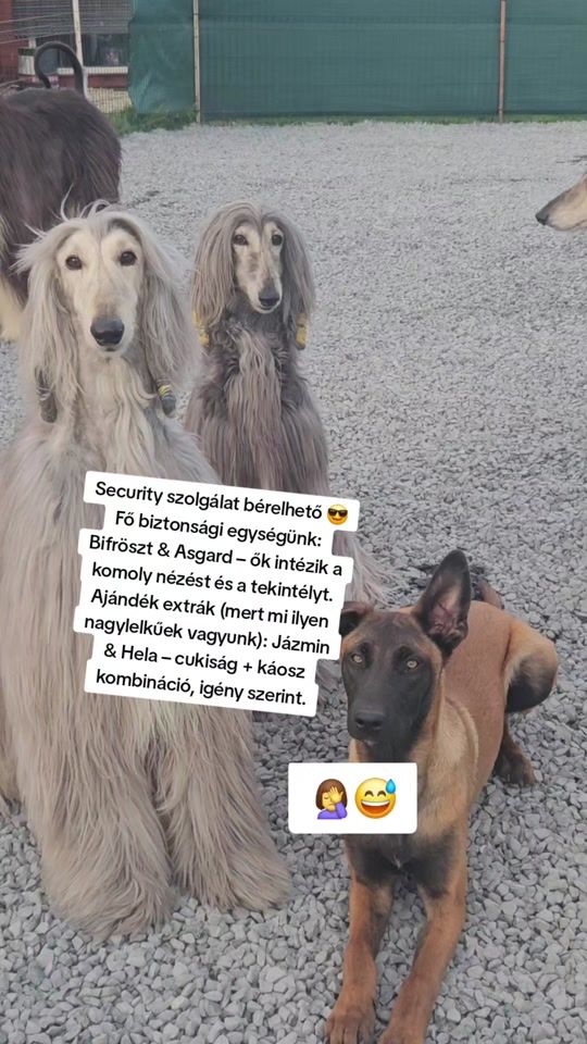 TikTok video thumbnail by fenrirfalka