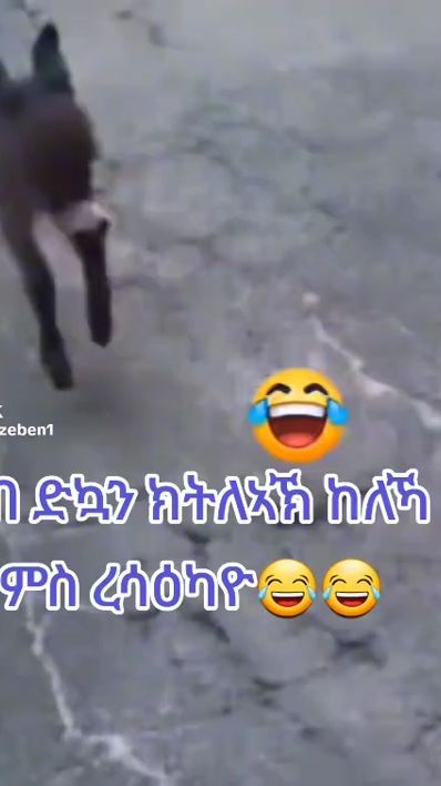 TikTok video thumbnail by mekseb14
