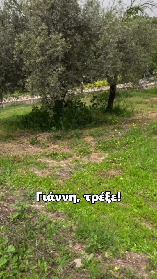 TikTok video thumbnail by xoportas