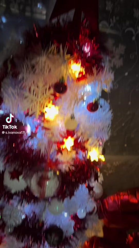 TikTok video thumbnail by misheto02