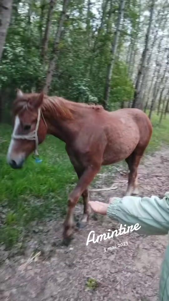 TikTok video thumbnail by marya.lavinia27