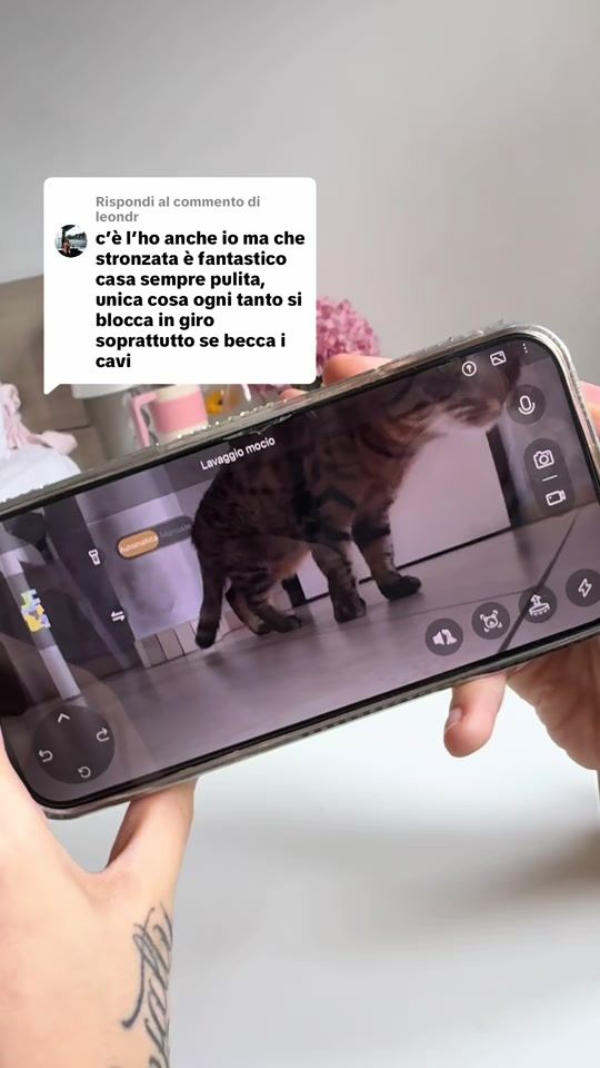 TikTok video thumbnail by 21leloup
