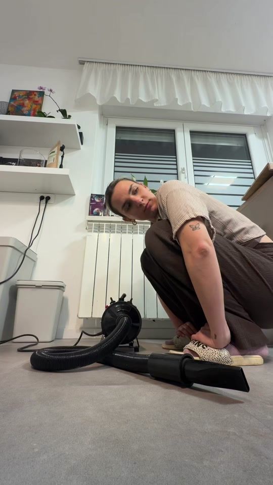 TikTok video thumbnail by murf_the_bluemerle