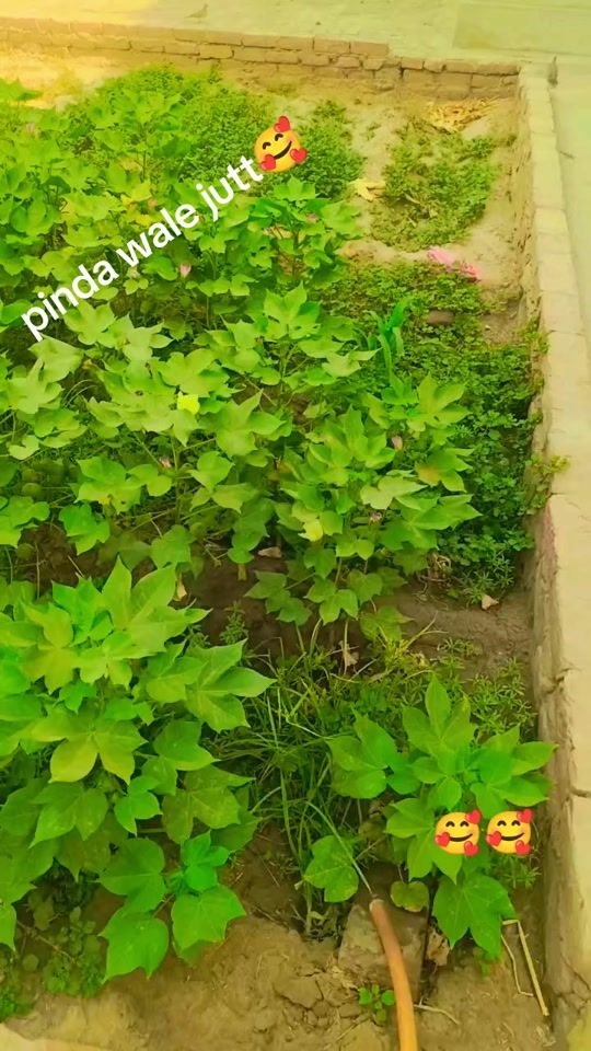 TikTok video thumbnail by kharal__84