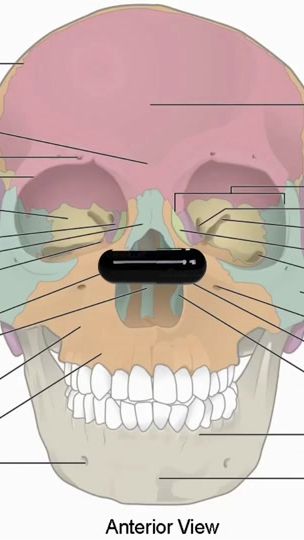 TikTok video thumbnail by waytoominty