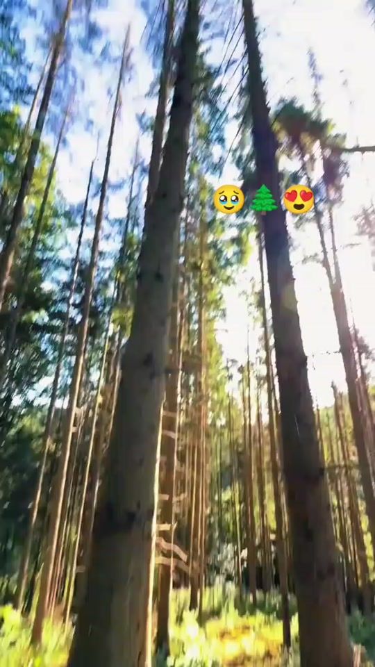 TikTok video thumbnail by cotosmihai7
