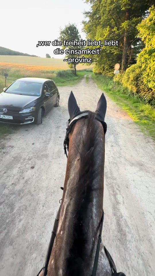 TikTok video thumbnail by ponypower.twister