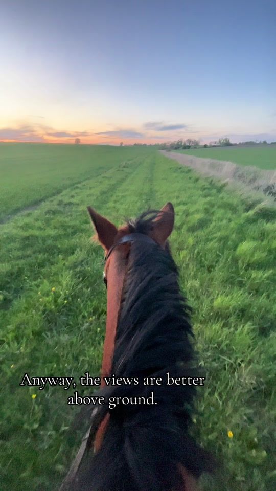 TikTok video thumbnail by equi.linnea