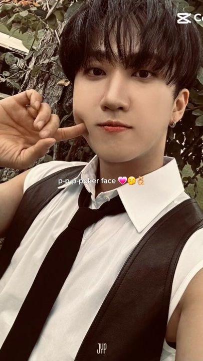 TikTok video thumbnail by stray_kids6867