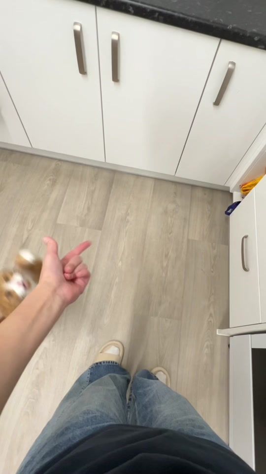 TikTok video thumbnail by neemocat