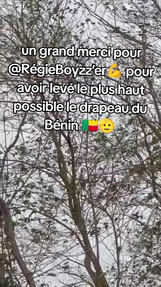 TikTok video thumbnail by brille229