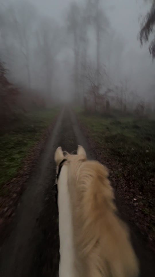 TikTok video thumbnail by lxrissaxx