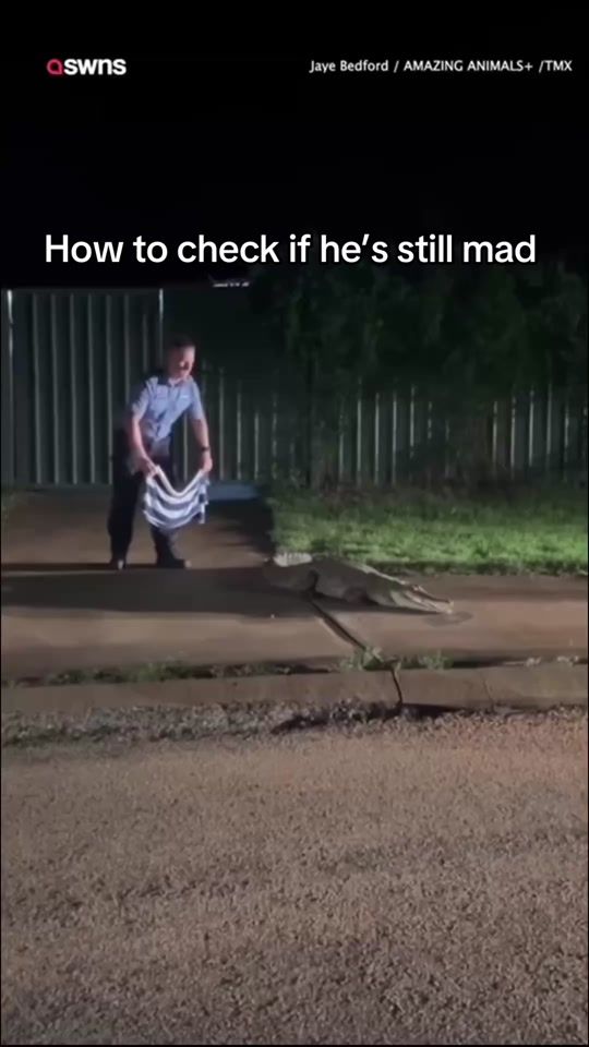 TikTok video thumbnail by callumandcole
