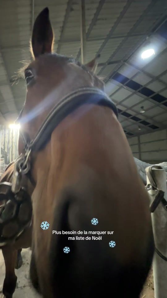 TikTok video thumbnail by kalinket
