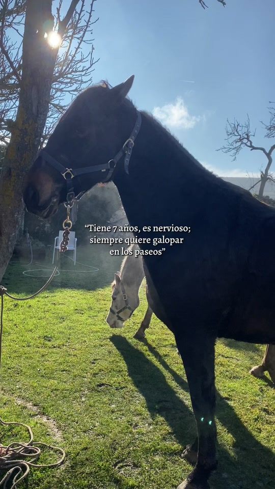 TikTok video thumbnail by a_reprise