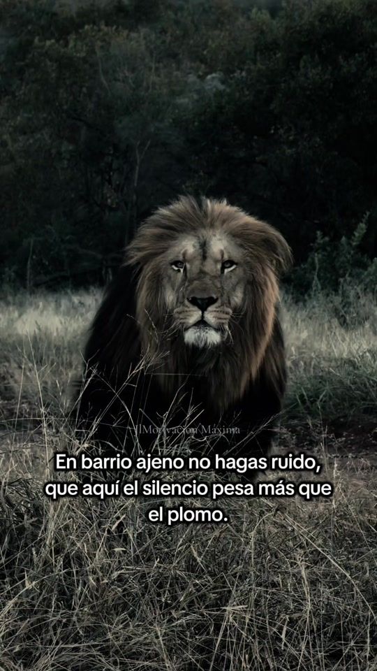 TikTok video thumbnail by jlmotivacion.maxima