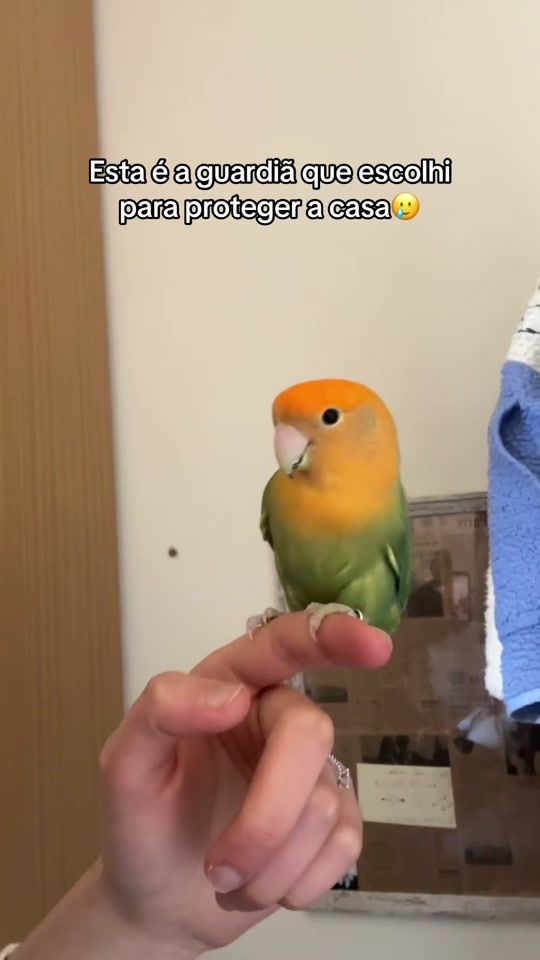 TikTok video thumbnail by inesalexandra10