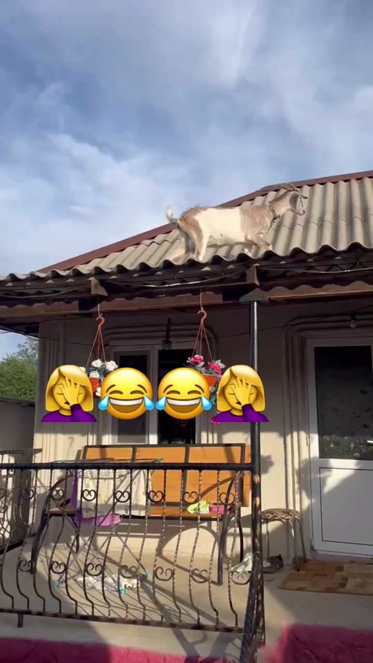 TikTok video thumbnail by nadiuska039