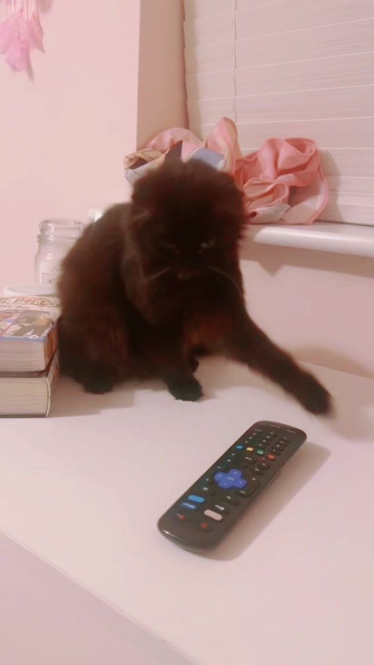 TikTok video thumbnail by hikkizom