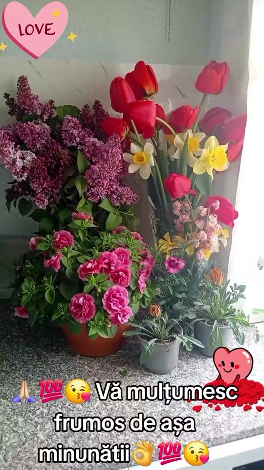 TikTok video thumbnail by 78lidia83
