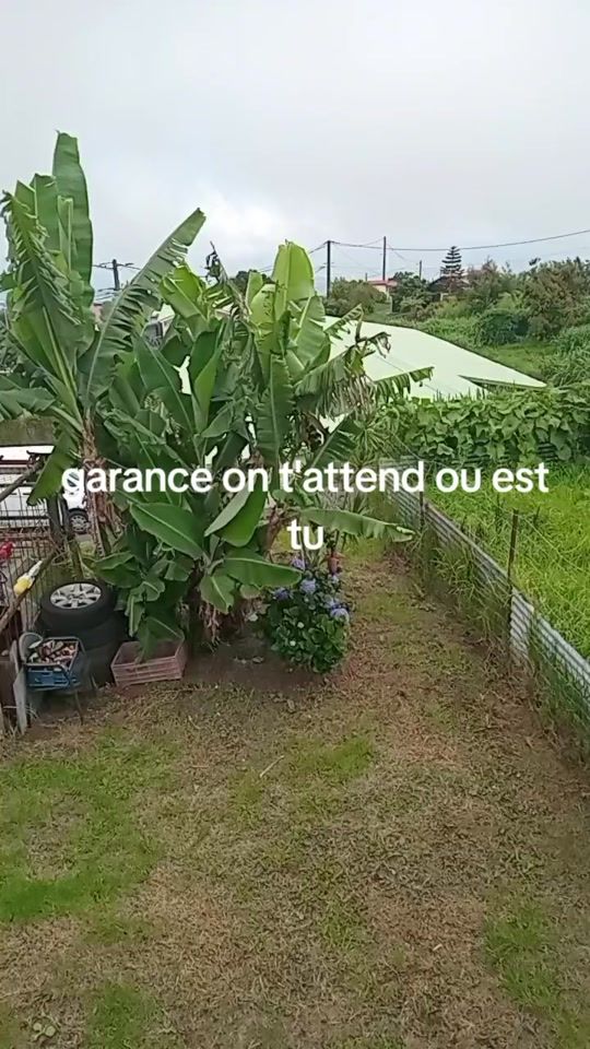 TikTok video thumbnail by yab974ml