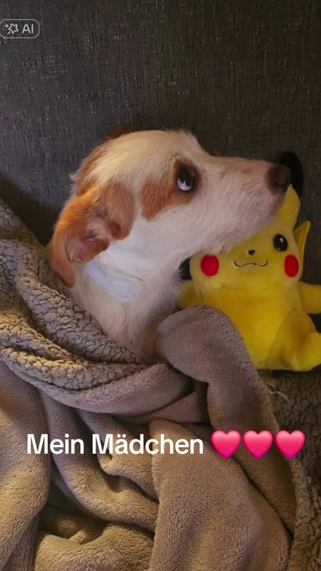 TikTok video thumbnail by sallybeer80