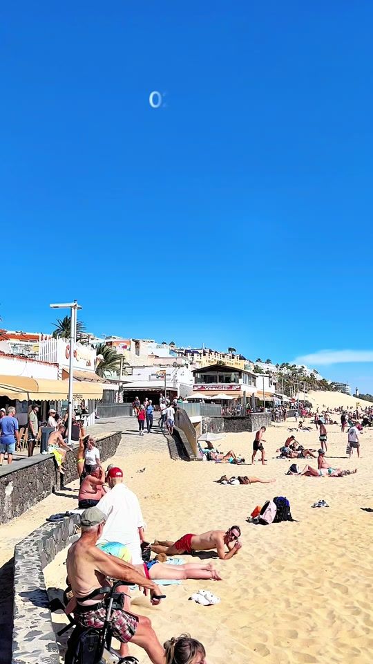 TikTok video thumbnail by frenchiesontrip