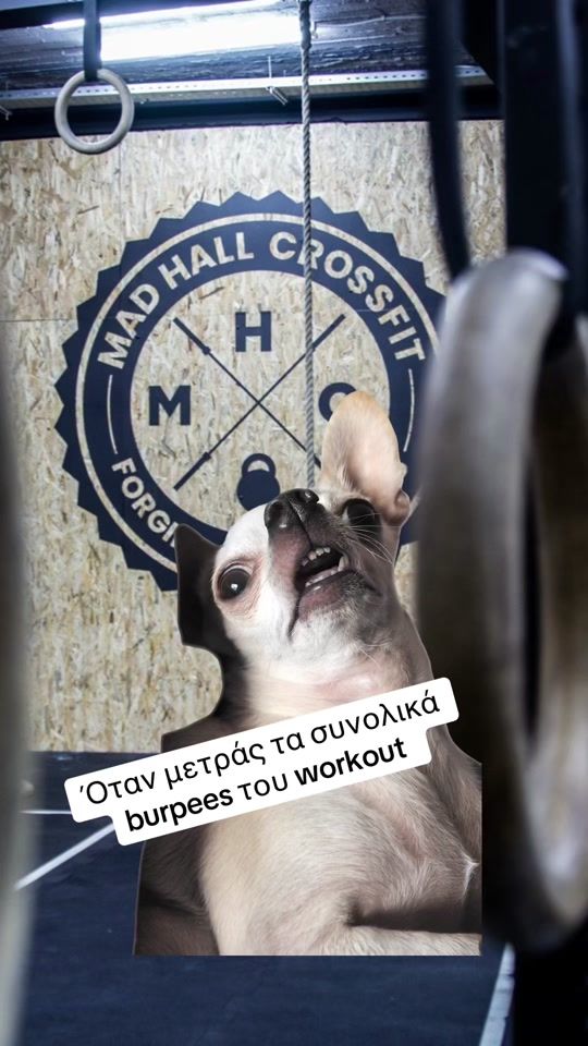 TikTok video thumbnail by djzorz