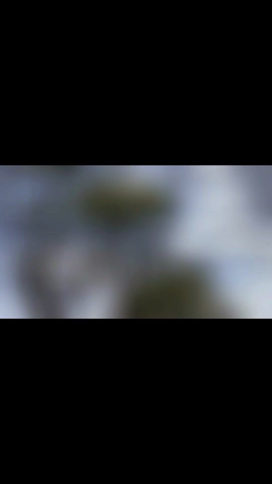 TikTok video thumbnail by pepmunta