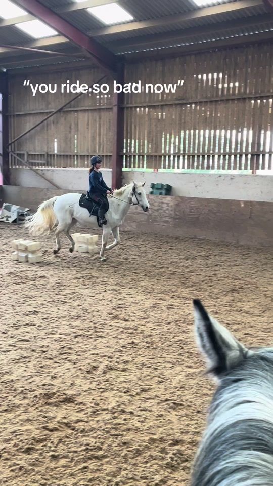 TikTok video thumbnail by equine.jj