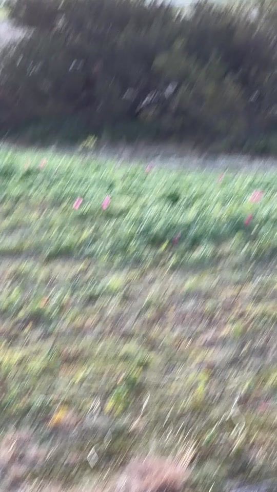 TikTok video thumbnail by dennylang25