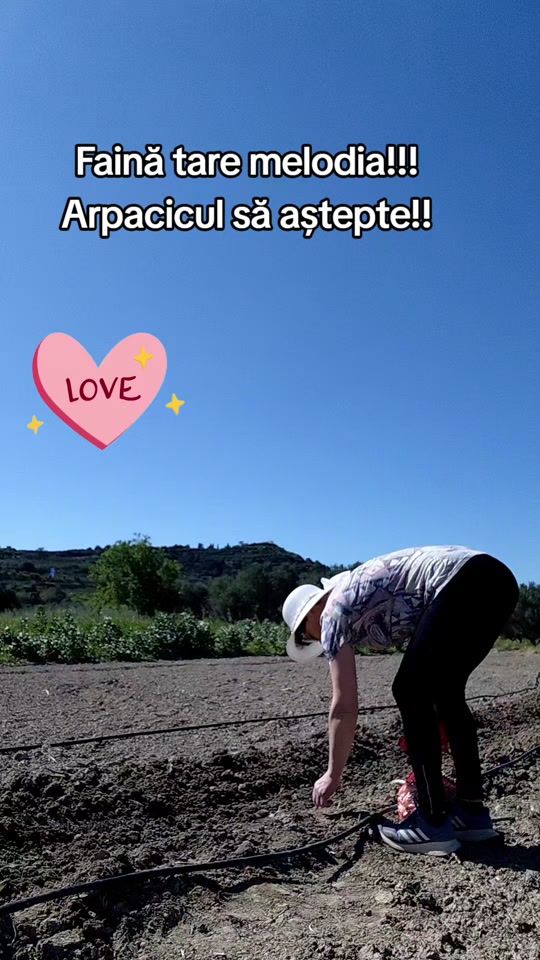 TikTok video thumbnail by iacinta_buita