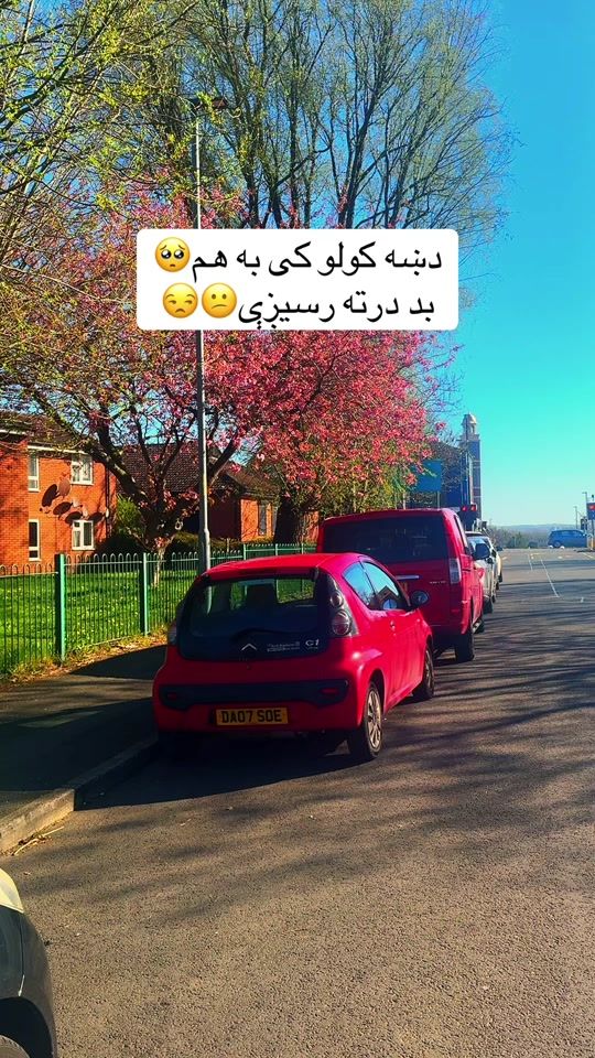 TikTok video thumbnail by afghanvoice11