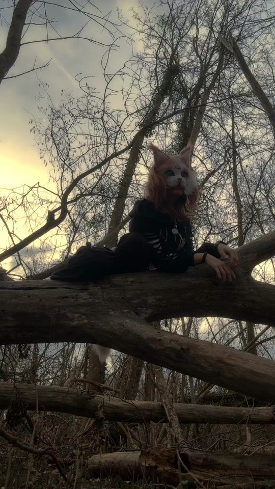 TikTok video thumbnail by cosmos.on.paws