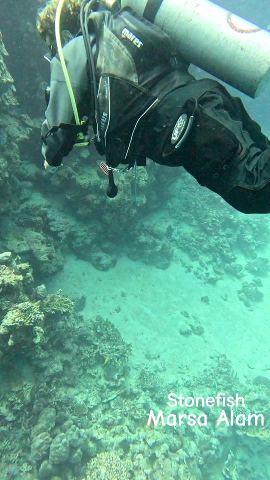 TikTok video thumbnail by __dimitris__uw